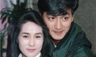 何家劲演过的电视剧 何家劲演过的电视剧