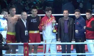 航海王燃烧意志飞龙